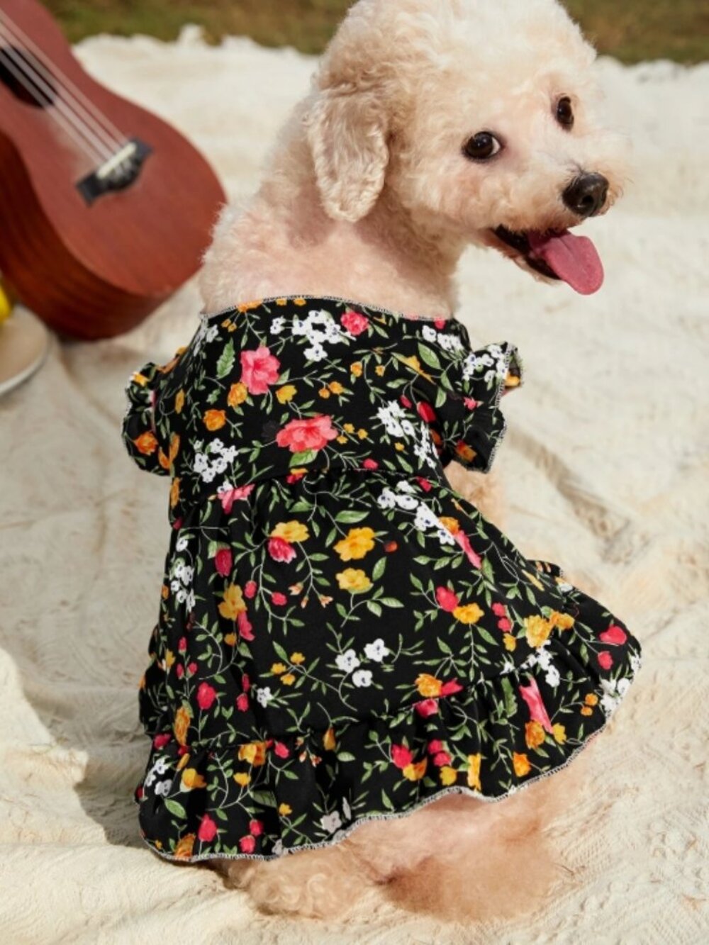 Floral Pet Dress Black Multicolor Size M